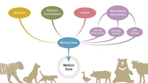 Human And Animal Health Examples