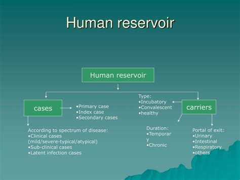 Human Reservoir