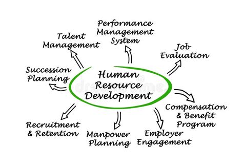 Human Resource Field