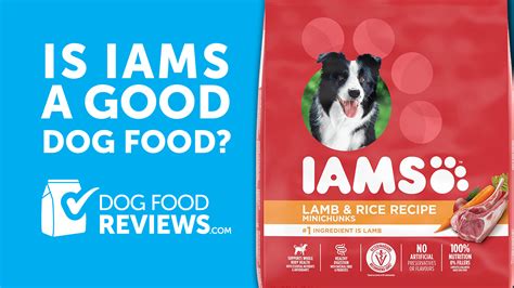 Iams Dog Food Complaints