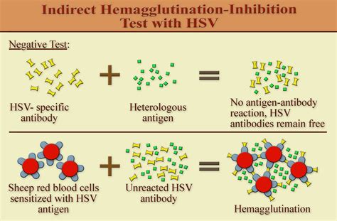 Iha Medical Test