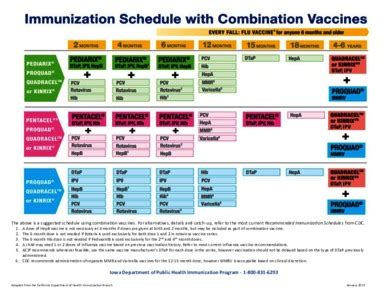 Immunizations Schedule With Combination Vaccines January 2019 Iowa