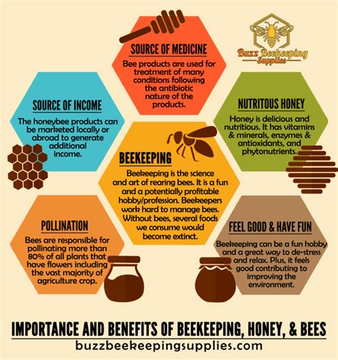 Importance And Benefits Of Beekeeping Honey And Bees Bee Keeping