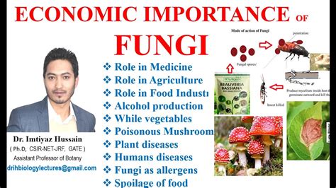 Importance Of Agriculture In Medicine