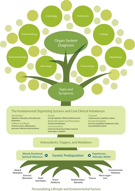 5 Ways Functional Health