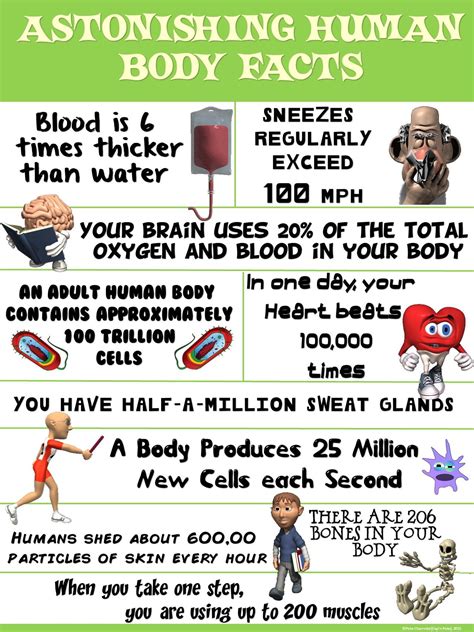 Interesting Facts About Health Science