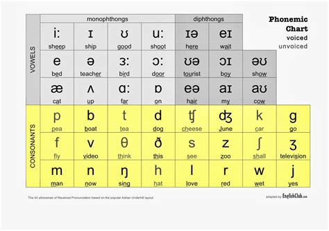 International Phonetic Alphabet