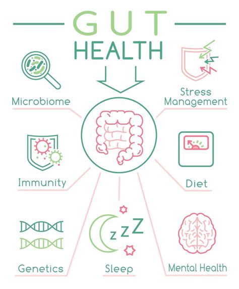 Introduction To Gut Health