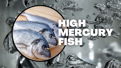 Is Cod High In Mercury