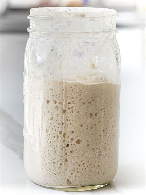 Is Sourdough Starter A Yeast