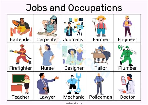 Job Professions