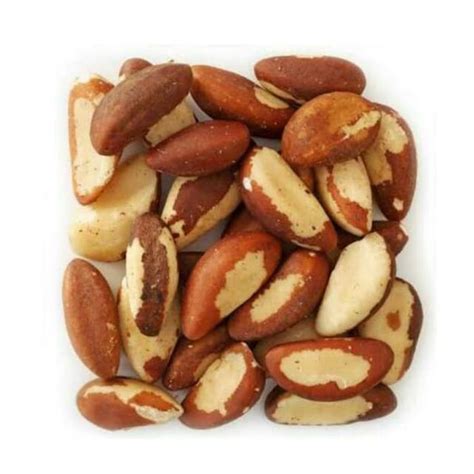 Jual Murah Meriah Brazil Nut Kacang Brazil 250 Gram Premium Quality Raw Shopee Indonesia