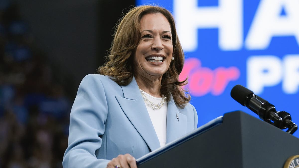 Kamala Harris Border Plan 2024