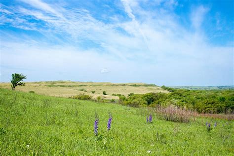 Konza Prairie Junction City Ks