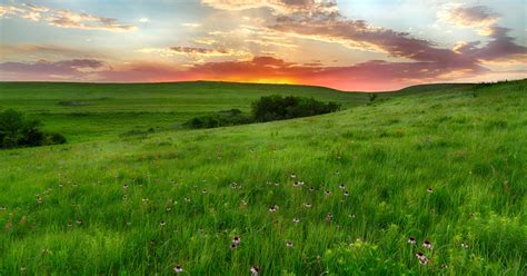 Konza Prairie Trail