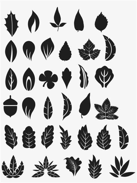 Leaf Vector At Vectorified Com Collection Of Leaf Vector Free For