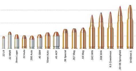 Length Of 50 Caliber Bullet