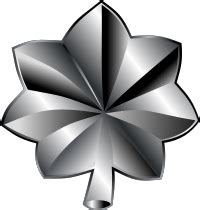 Lieutenant Colonel Pay Grade