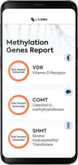 Lifedna Methylation Genes