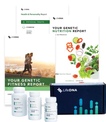 Lifedna Optimization Reports Lifedna Optimization Health Physical