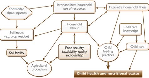 Links Between Agriculture And Health