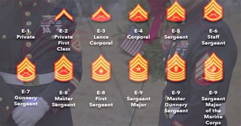 List Of Us Marine Ranks