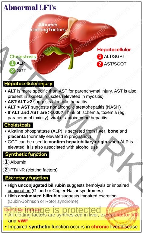 Liver Function Test Abnormal