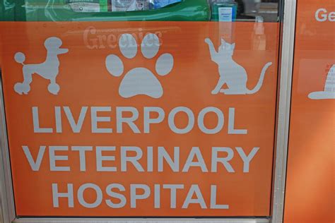 Liverpool Veterinary Hospital Liverpool Ny