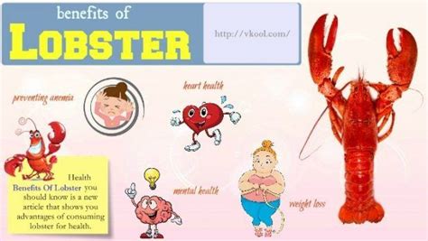 Lobster Benefits For Male