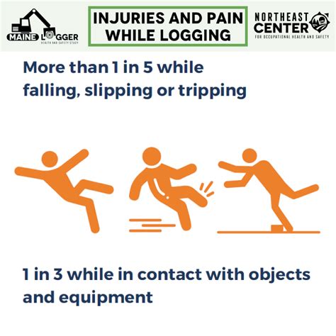 Long Term Health Is Focus Of New Paper Highlighting The Logging Industry Northeast Center For Occupational Health And Safety