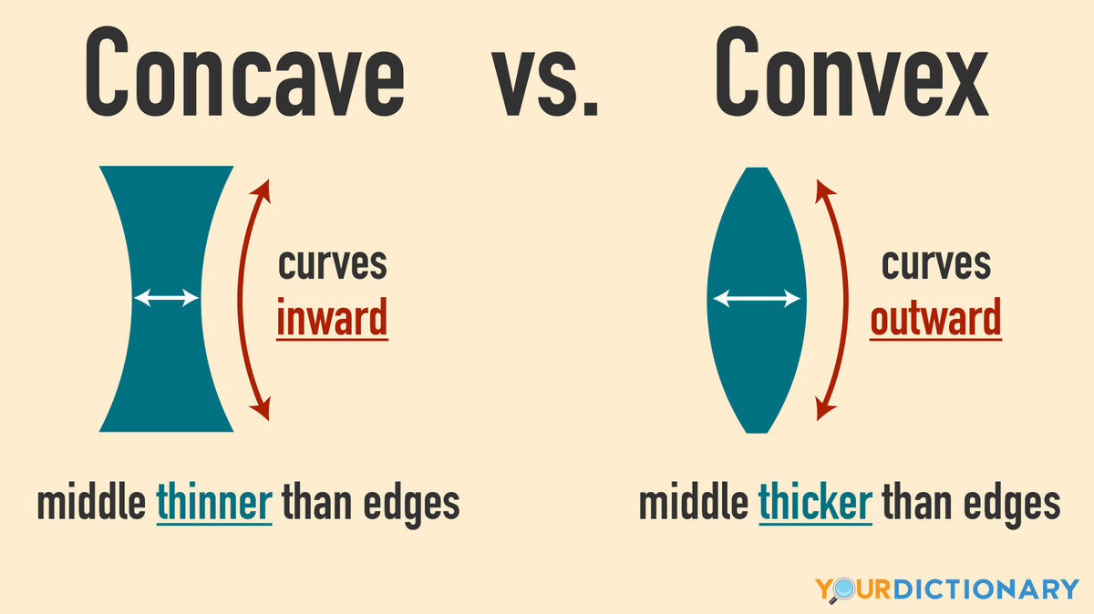 Lordosis Concave Or Convex