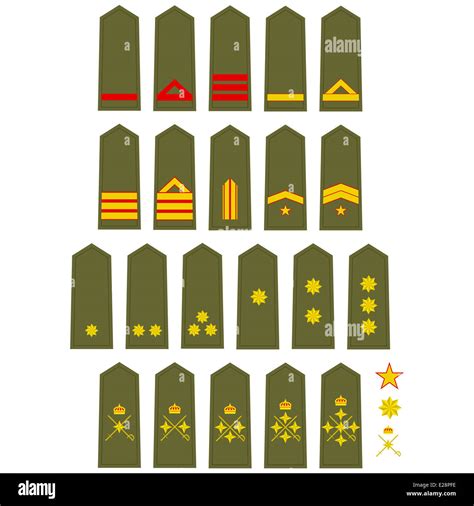 Los Rangos Militares Y La Insignia Del Mundo Ilustraci N Sobre Fondo