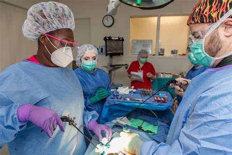 Lpn To Surgical Tech Programs