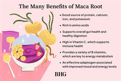 Maca Root Benefits