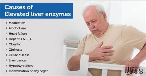 Magnesium Liver Enzymes