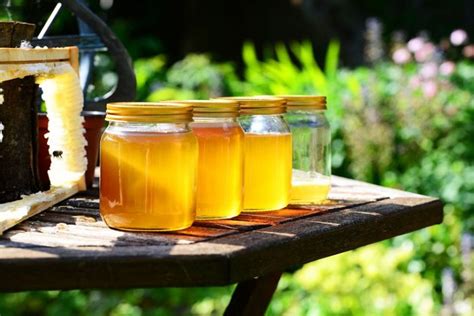 Manuka Honey Dangers