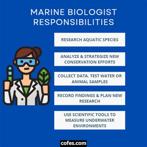 Marine Biologist Daily Tasks