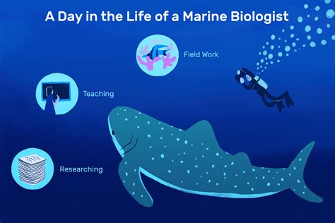 Marine Biologist Job Description