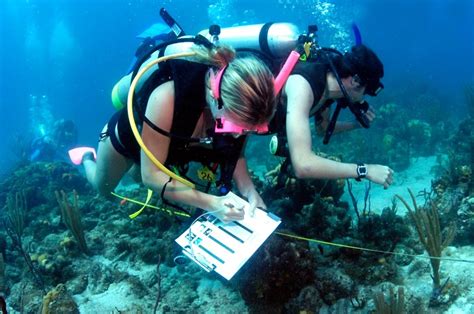 Marine Biologist Work Hours