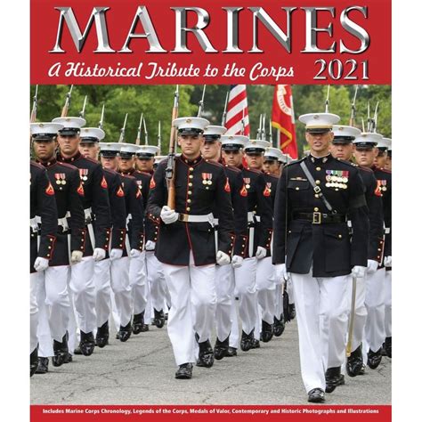 Marine Boot Camp Schedule 2024 Season Tory Ainslee