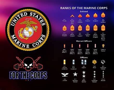 Marine Chain Of Command Ranks