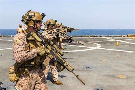 5 Marine Elite Forces