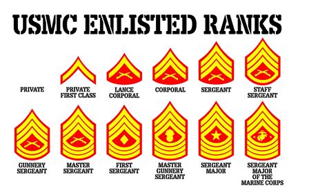 Marine Corps Highest Enlisted Rank