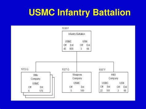 Marine Corps Infantry Battalion Organization