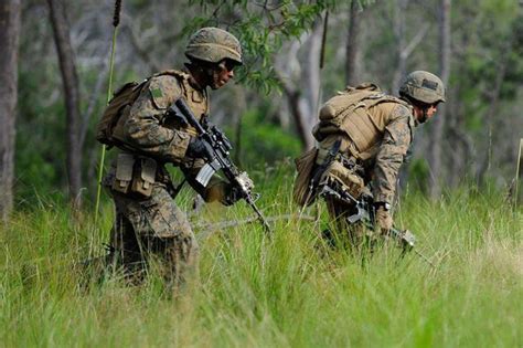 5 Marine Infantry Jobs