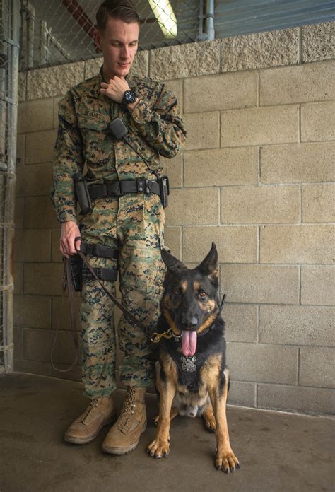 Marine Corps Working Dog Logo