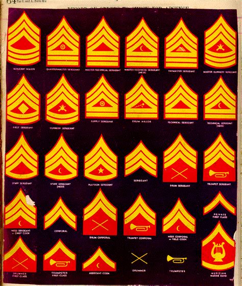 Marine Gunner Rank