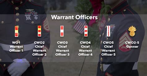 Marine Ranks Warrant Officer Explained