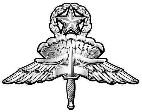 Master Military Freefall Parachutist Badge