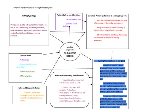 Maternal Health Mind Map